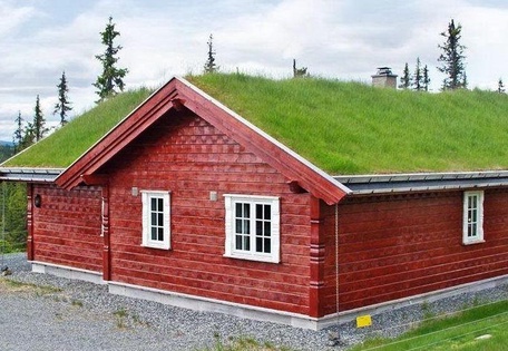 Строительство экодомов нового поколения